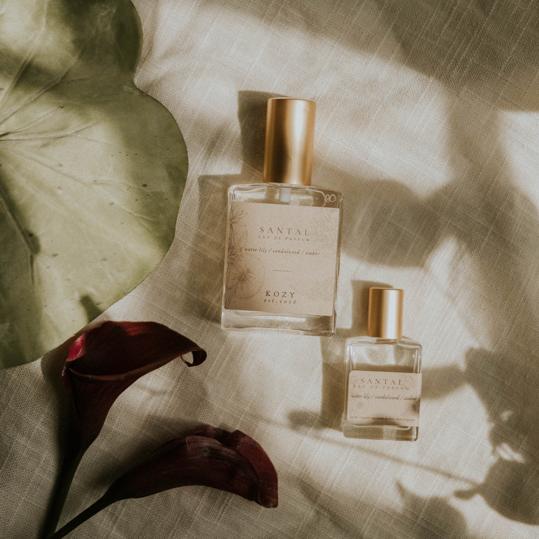 Two perfume bottles on a textured surface with a leaf in the background