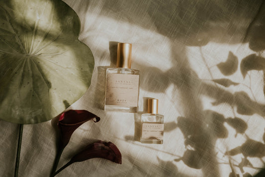 Santal | Eau De Parfum