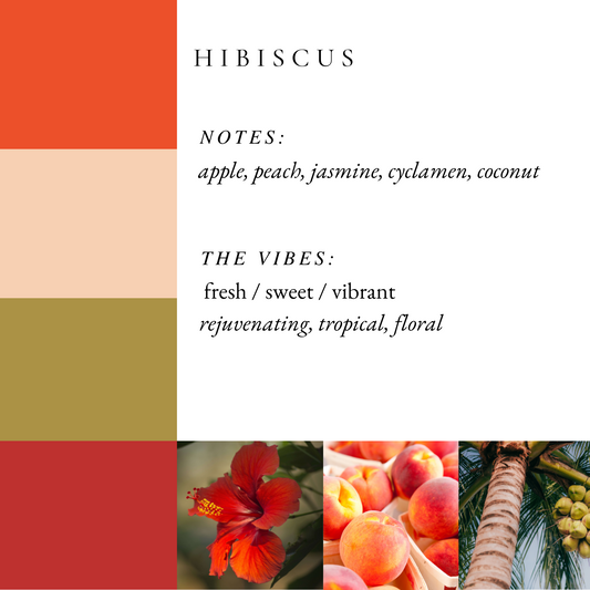 NEW Hibiscus
