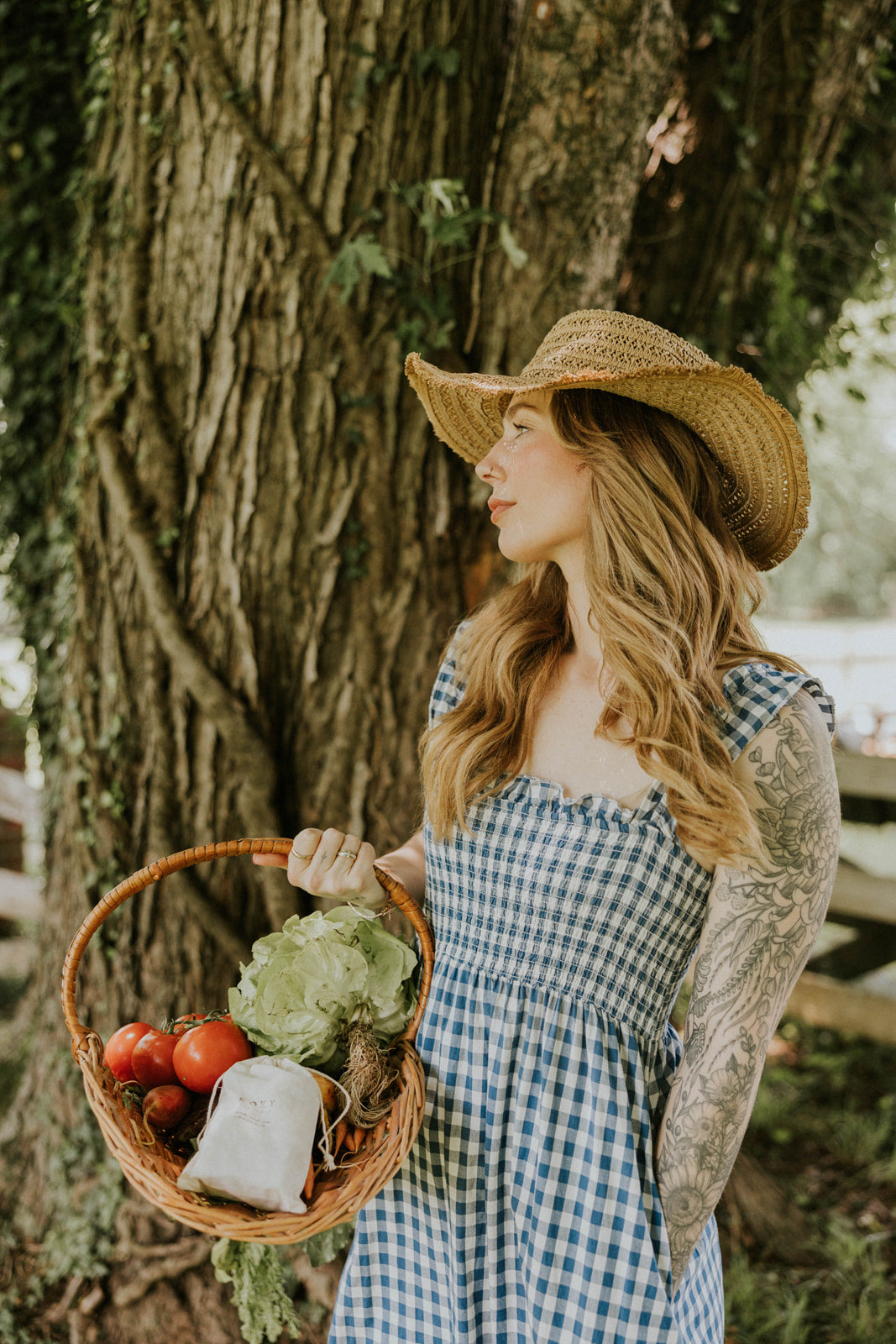Vine | Market Collection