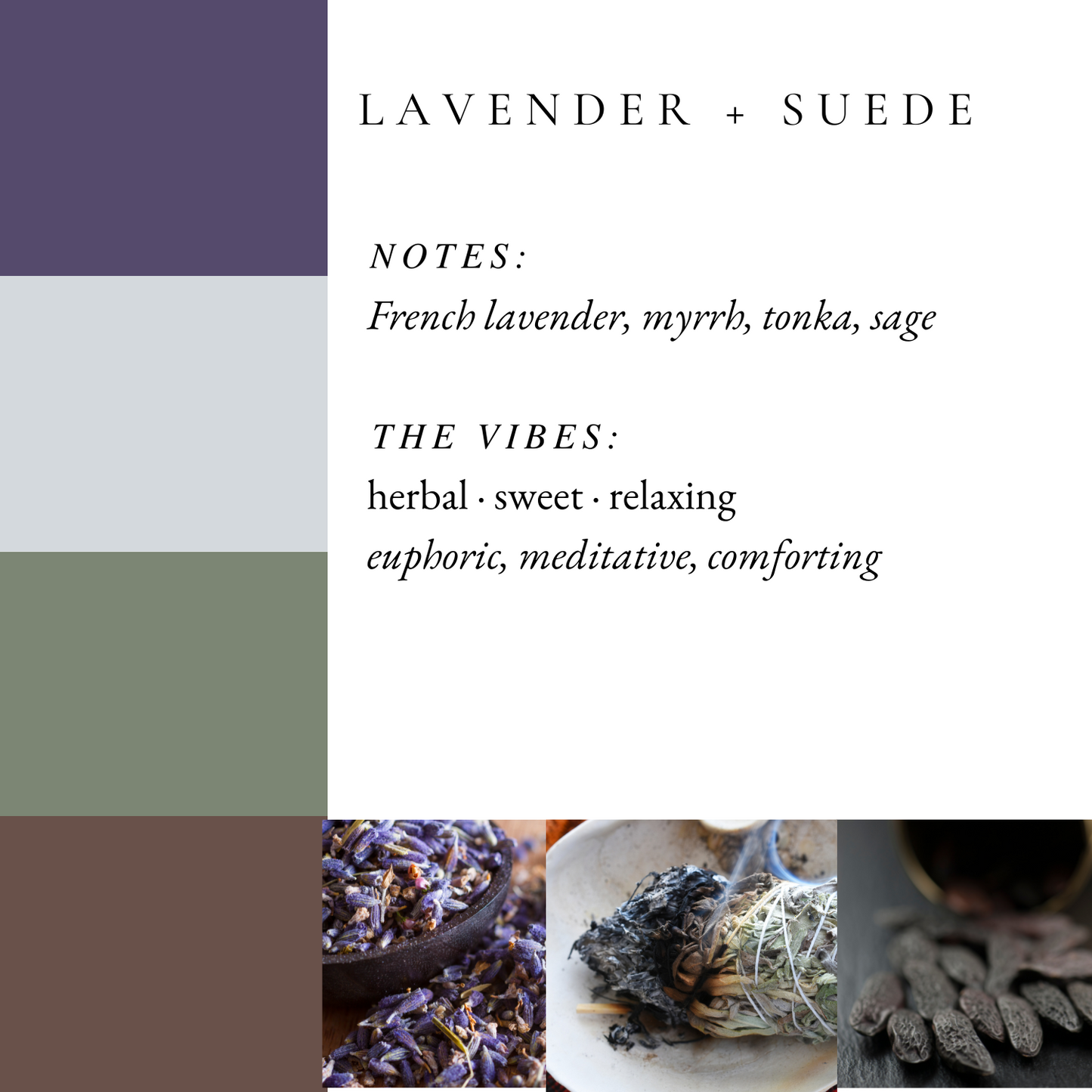 Lavender +Suede