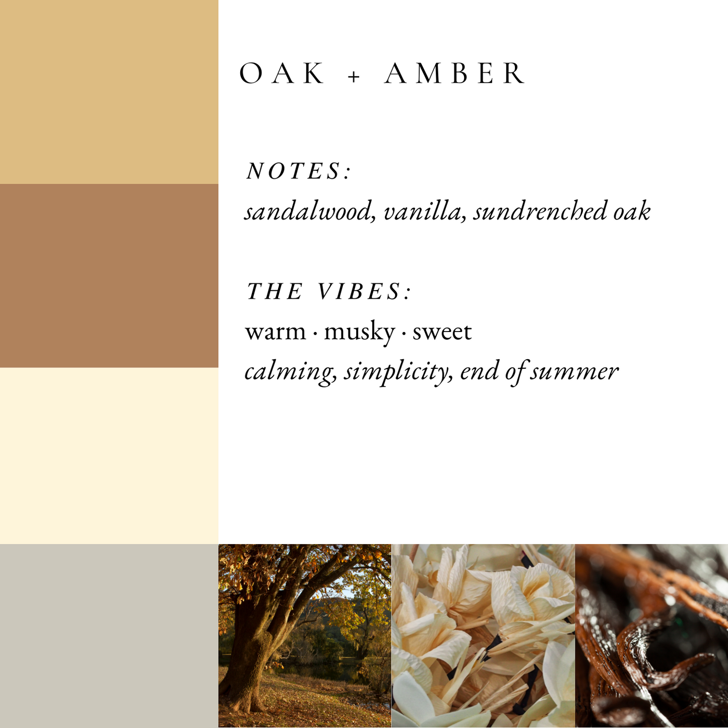 Oak + Amber